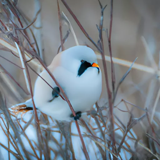 Tilaa sähkötupakka netistä